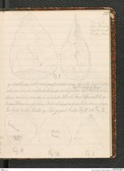Seite 39, Tagebuch "Palästina (Tagebuch)" (NHMW-PRAE-BBB-80)